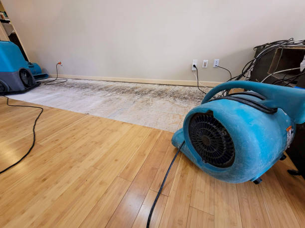 Professional Flood Damage Cleanup technician working in Kawkawlin, MI